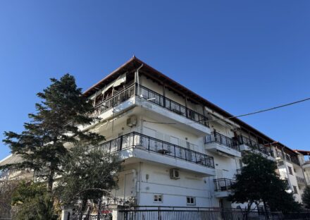 Vila Themis Nei Pori letovanje 2026